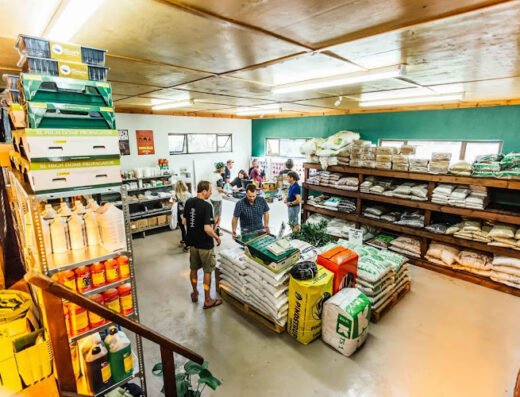 Groweed Africa Weed shop in Durban KwaZulu-Natal