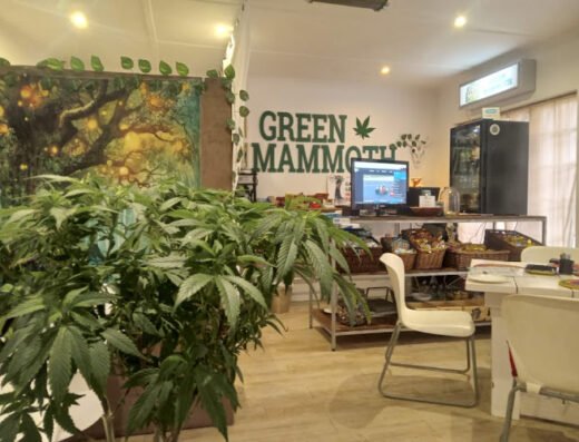 Green Mammoth Weed shop in Cape Town Eastern Cape