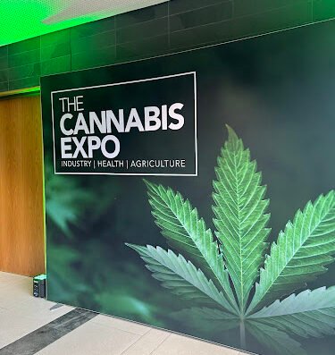 Cape Town Cannabis Guide Weed shop in Cape Town Western Cape