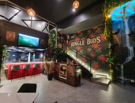 Jungle Buds Weed shop in Centurion Gauteng