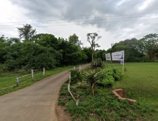 Precious Afrika creations Weed shop in Cape Town KwaZulu-Natal